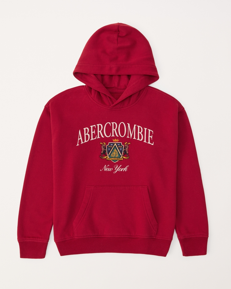 Abercrombie and fitch red hoodie sale