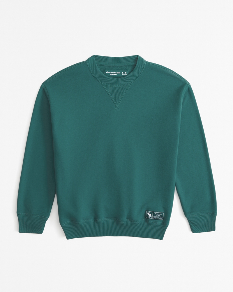 Abercrombie and fitch crew neck online sweater