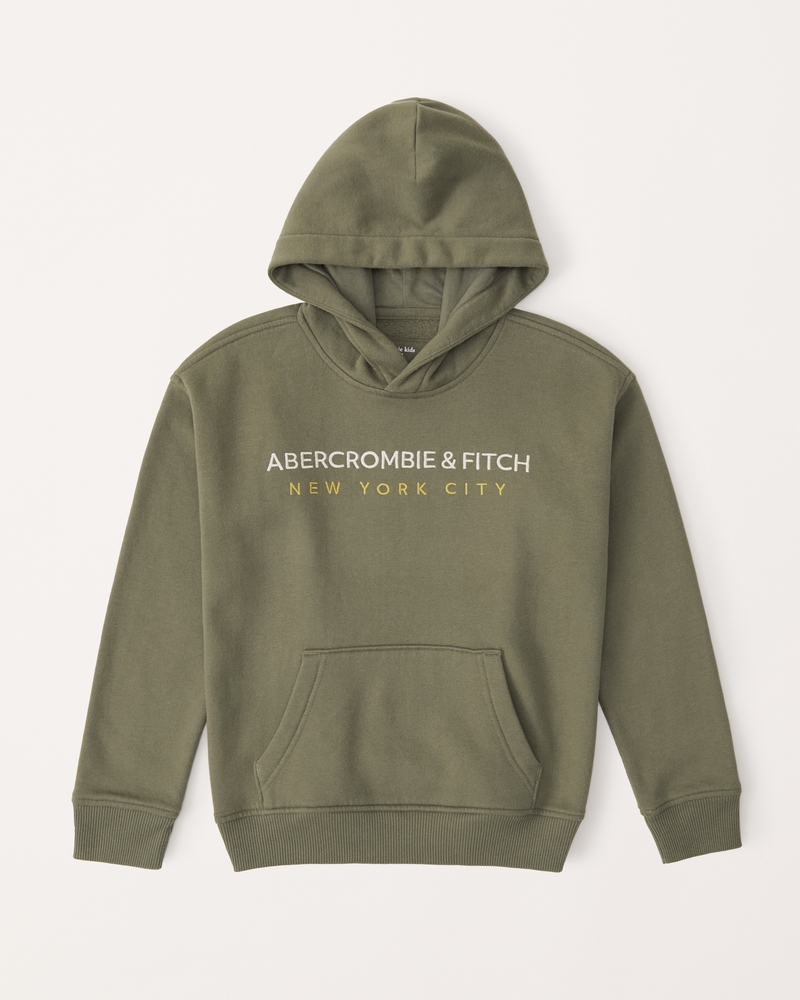 Abercrombie clearance logo hoodie