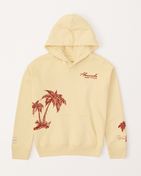 embroidered graphic logo popover hoodie