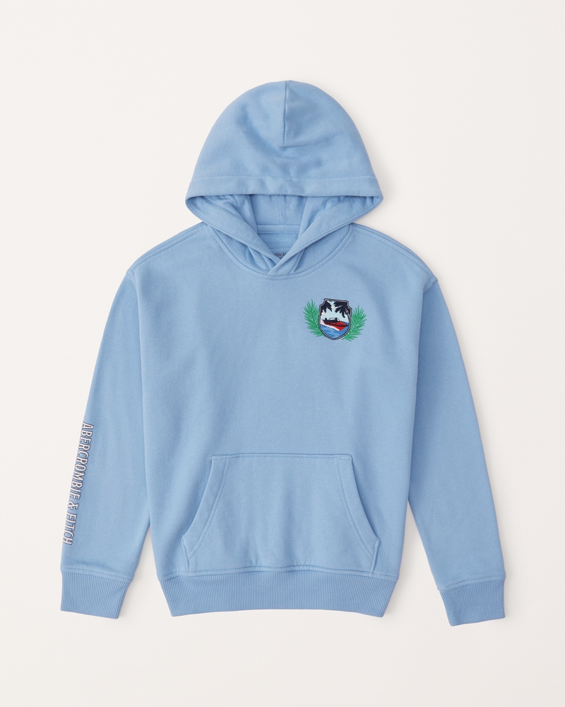 boys embroidered logo popover hoodie | boys tops | Abercrombie.com