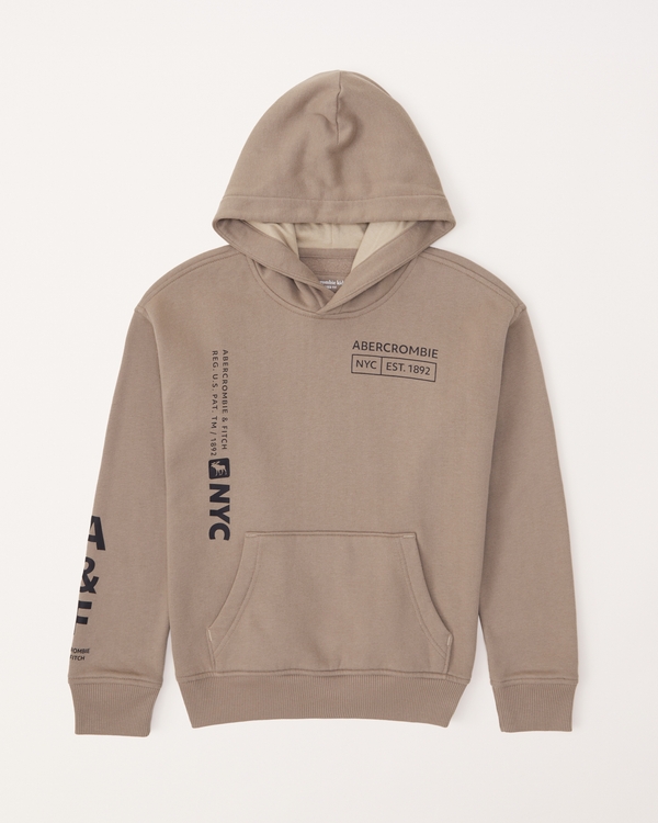 print graphic logo popover hoodie, Taupe