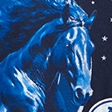 navy - colts