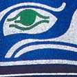 navy - seahawks