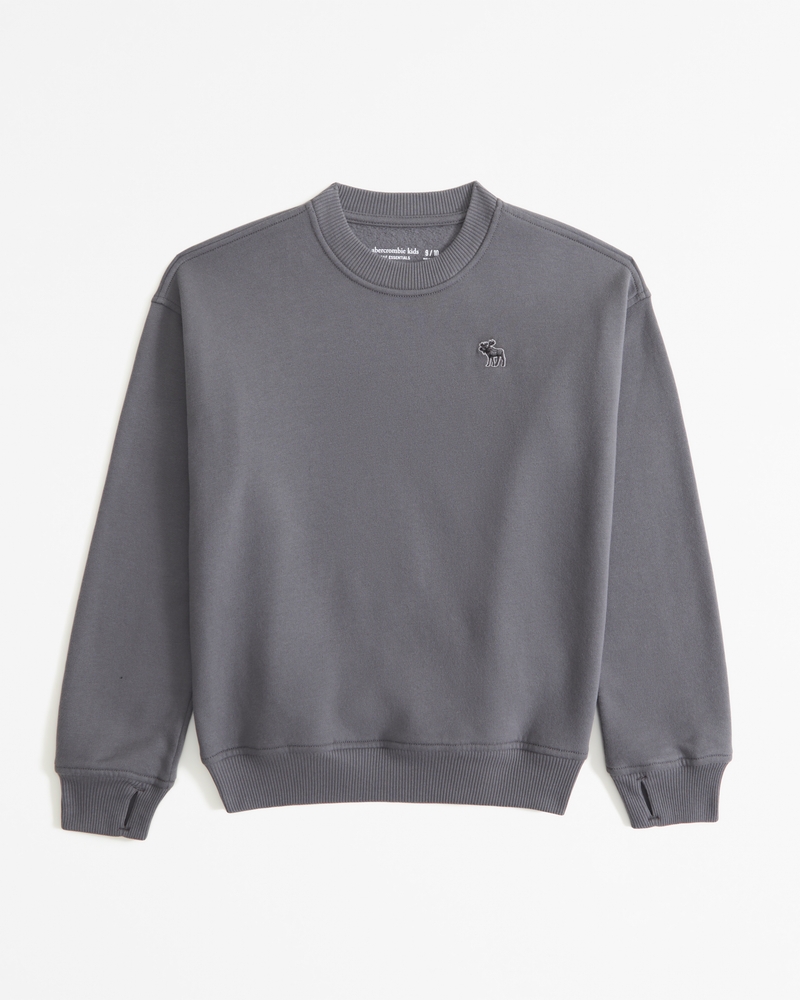 essential icon crew sweatshirt