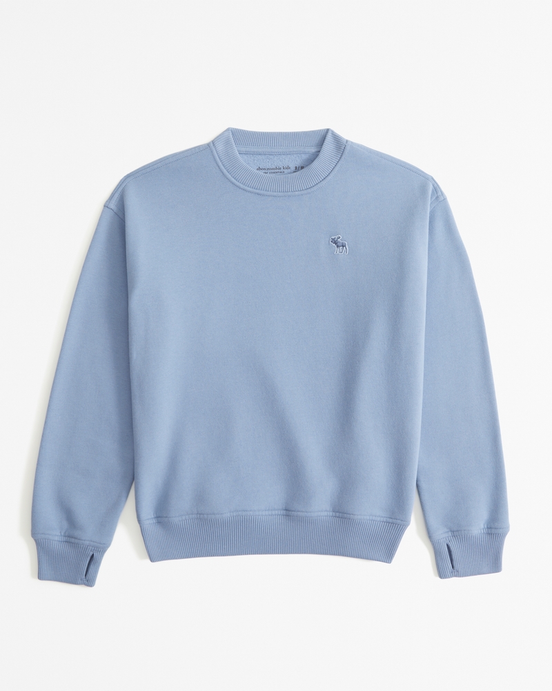 essential icon crew sweatshirt