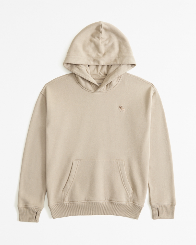 Abercrombie icon hoodie shop