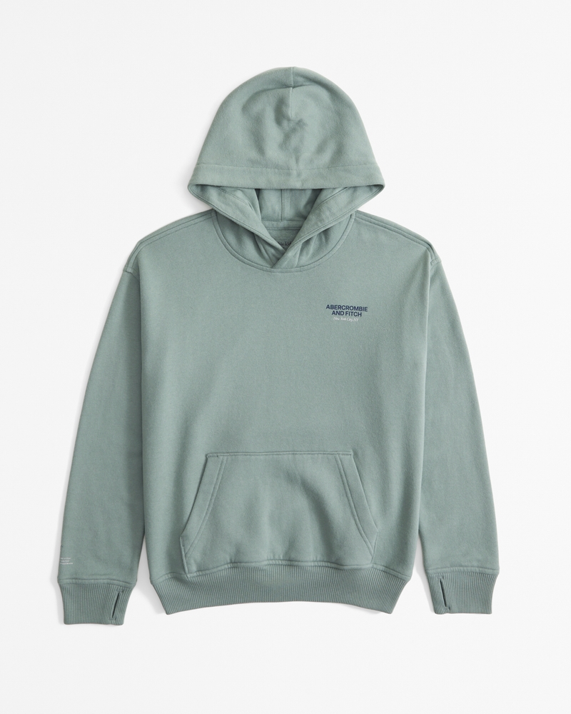 logo popover hoodie