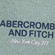 logo popover hoodie