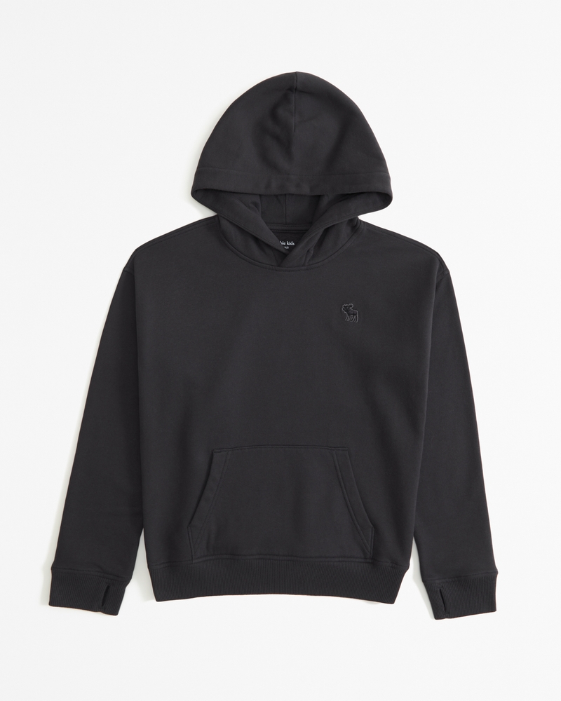 Abercrombie hotsell Kids Logo Hoodie