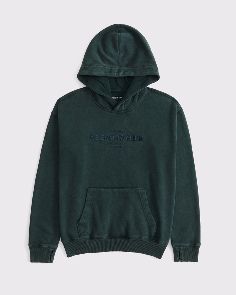 logo popover hoodie