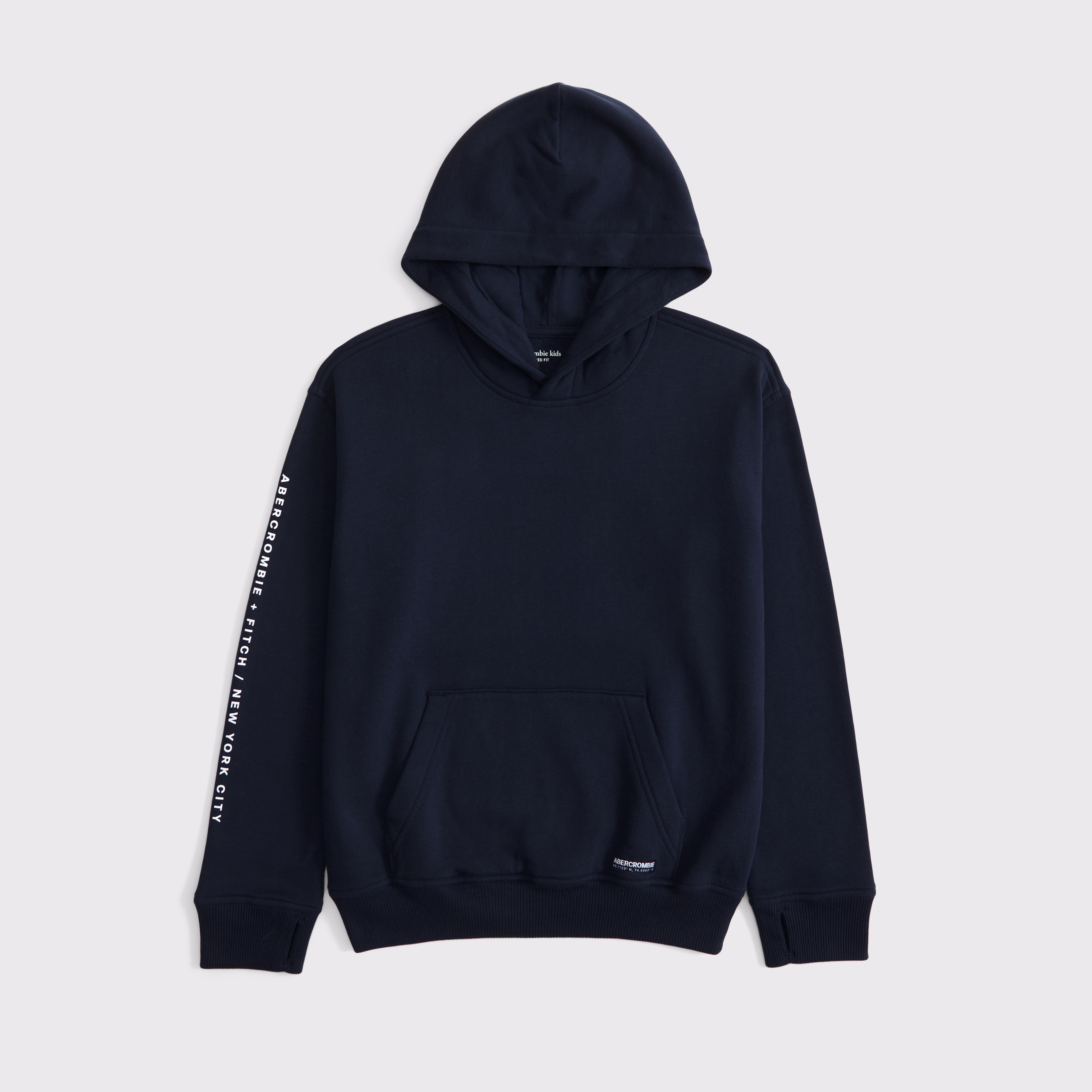 Abercrombie and fitch pullover hoodie online