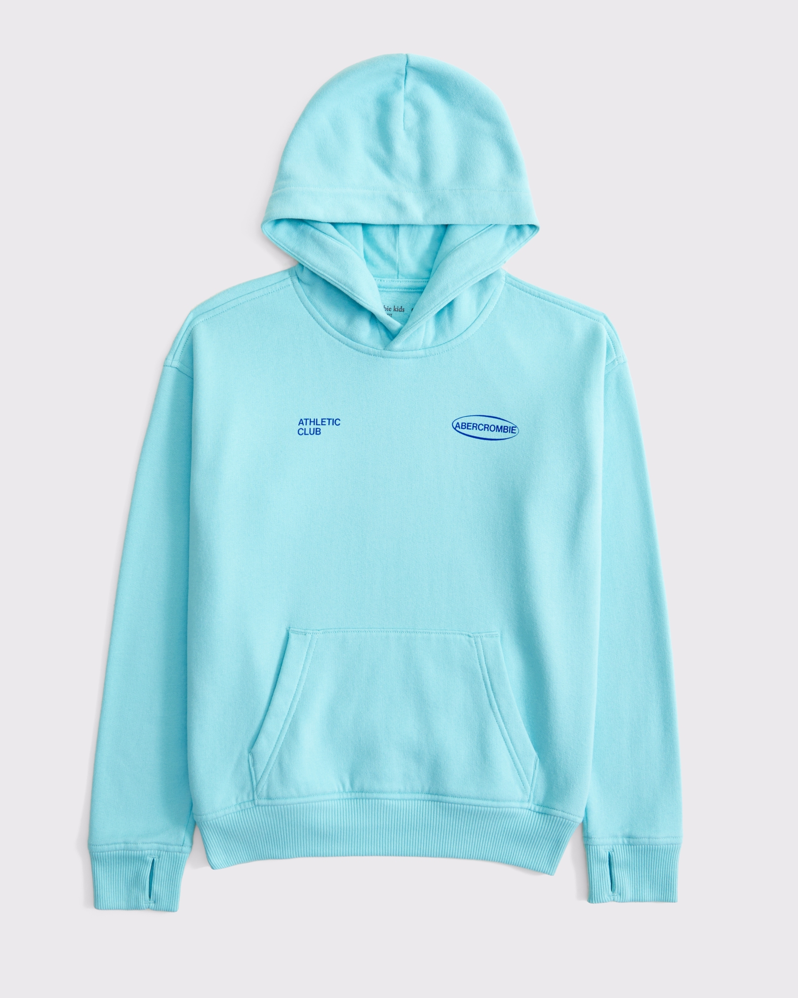logo popover hoodie