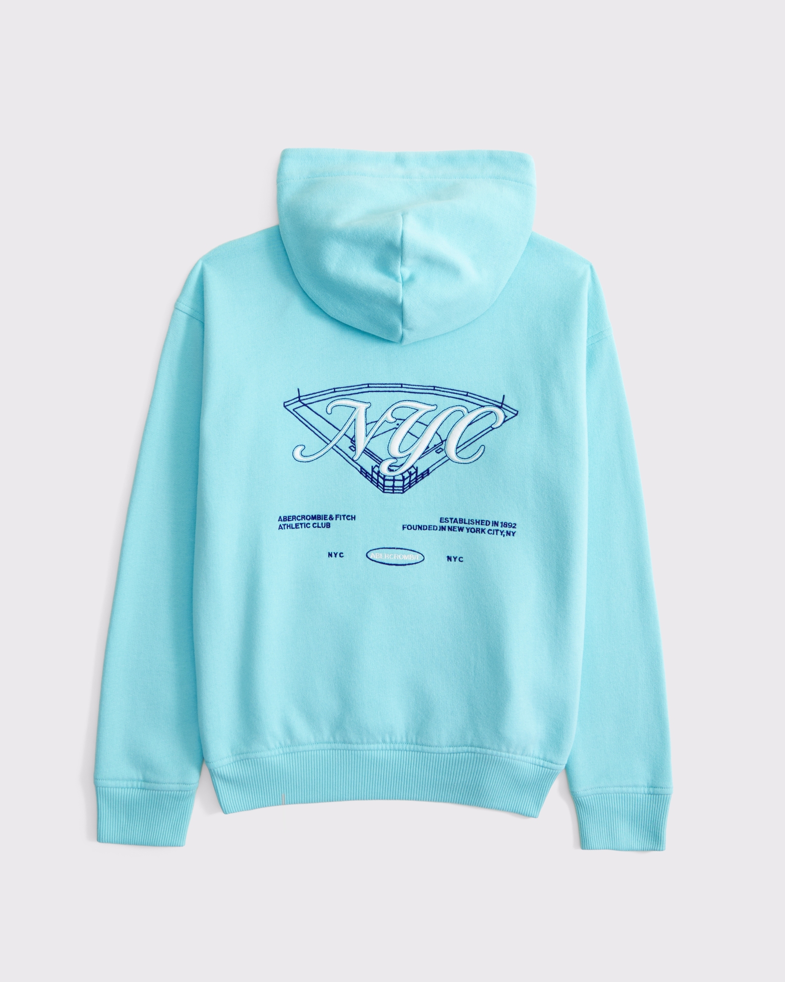 logo popover hoodie