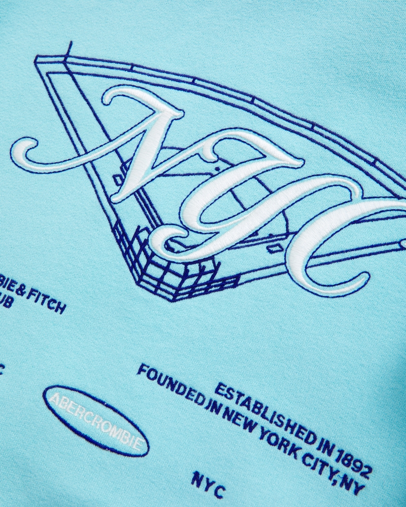 logo popover hoodie