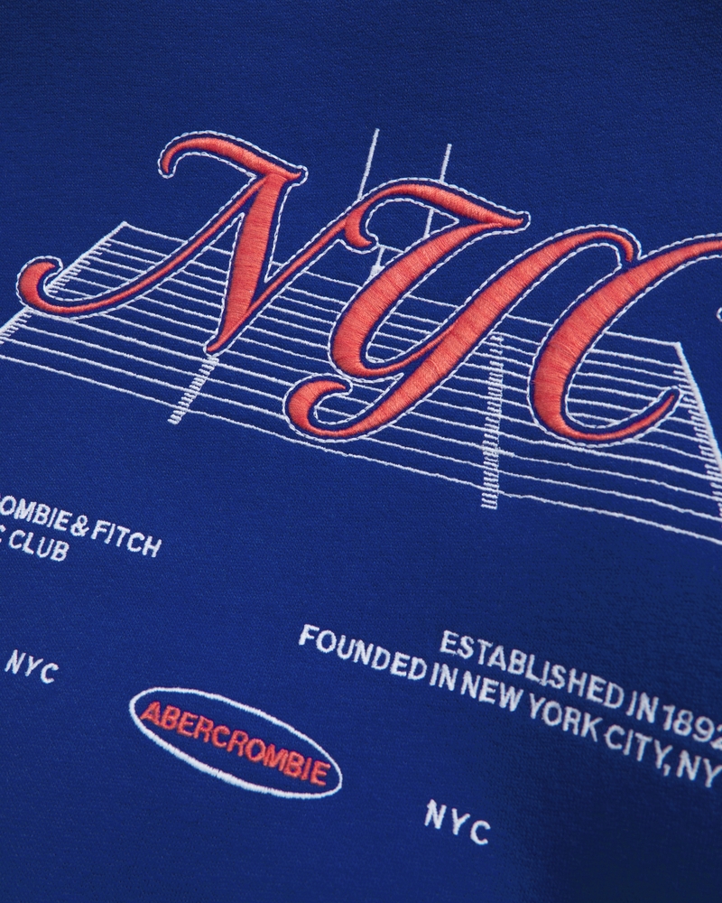 logo popover hoodie
