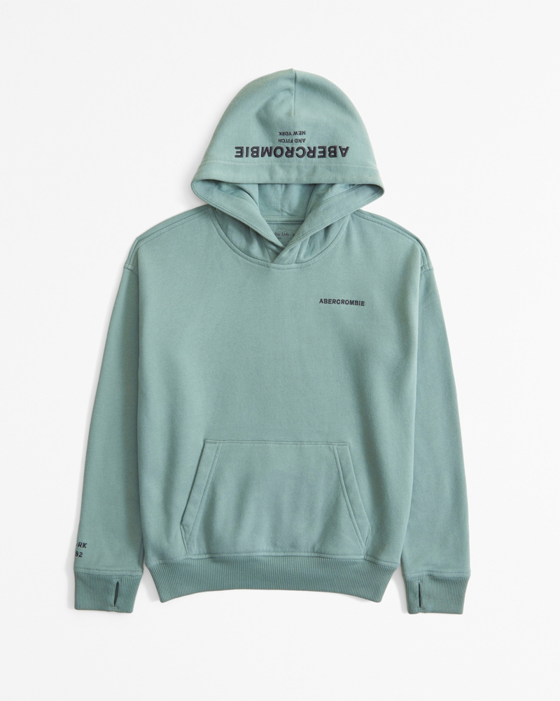 logo popover hoodie