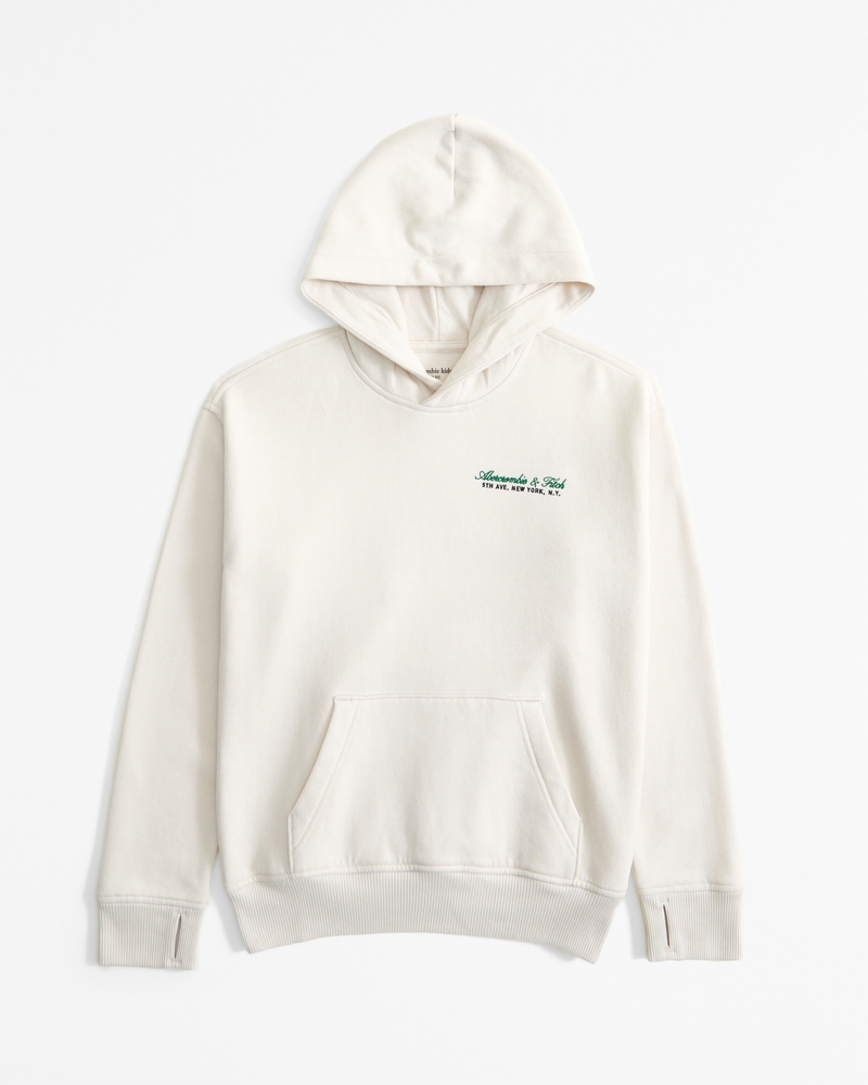miami dolphins graphic popover hoodie