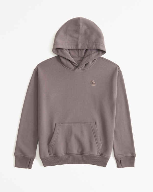 essential icon hoodie, Iron