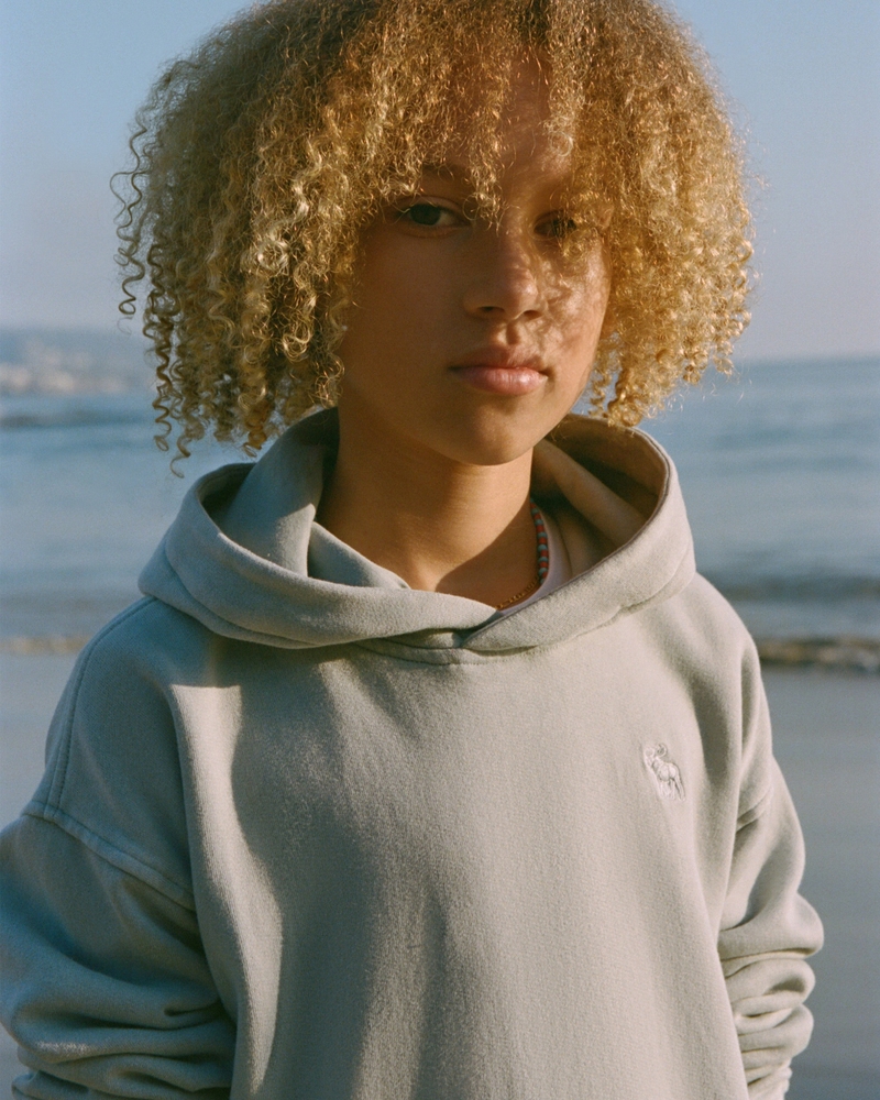 essential icon hoodie