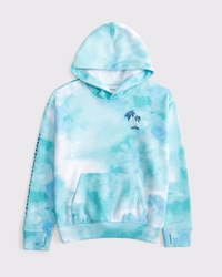 imagery logo popover hoodie