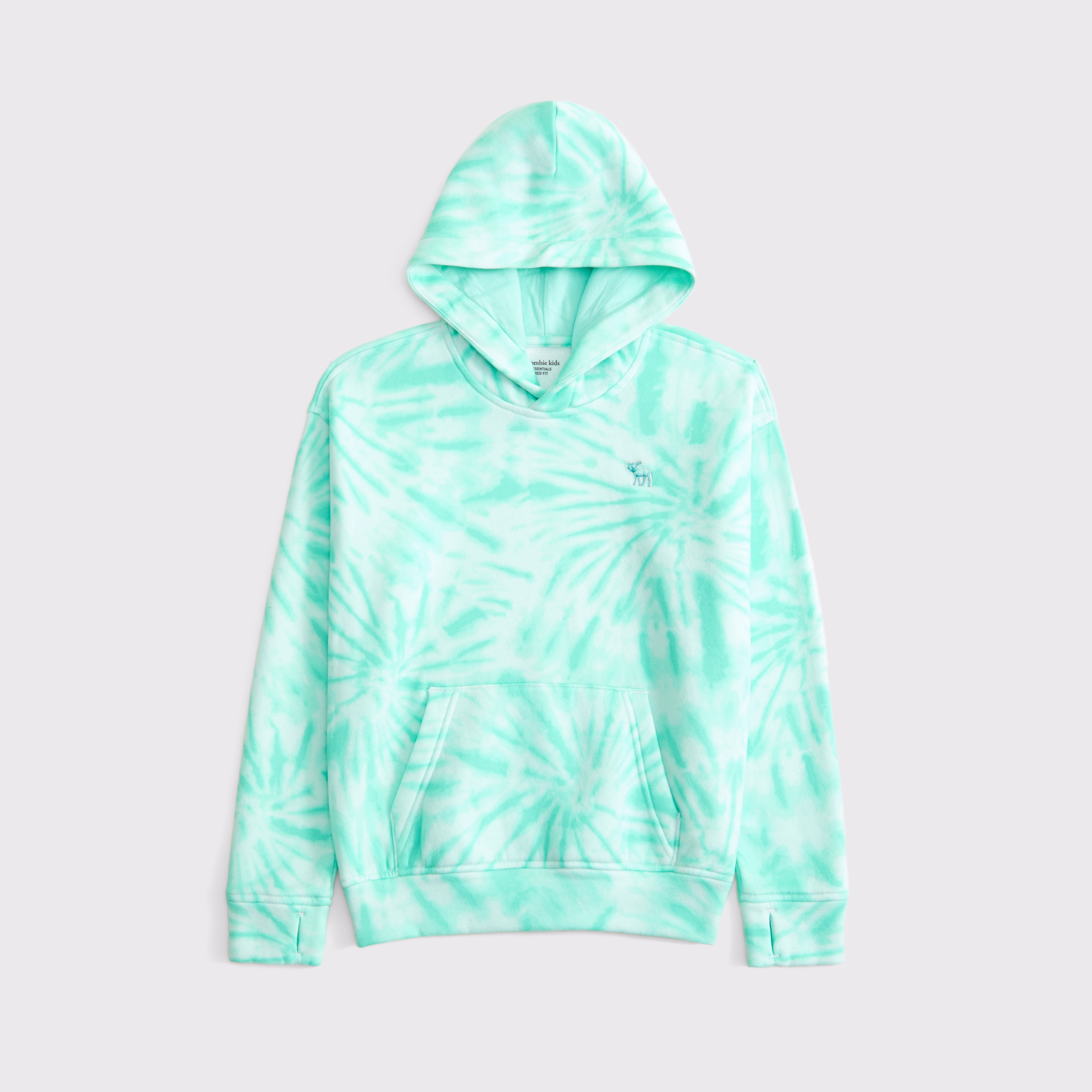 Abercrombie & Fitch Kids' Essential Icon Hoodie
