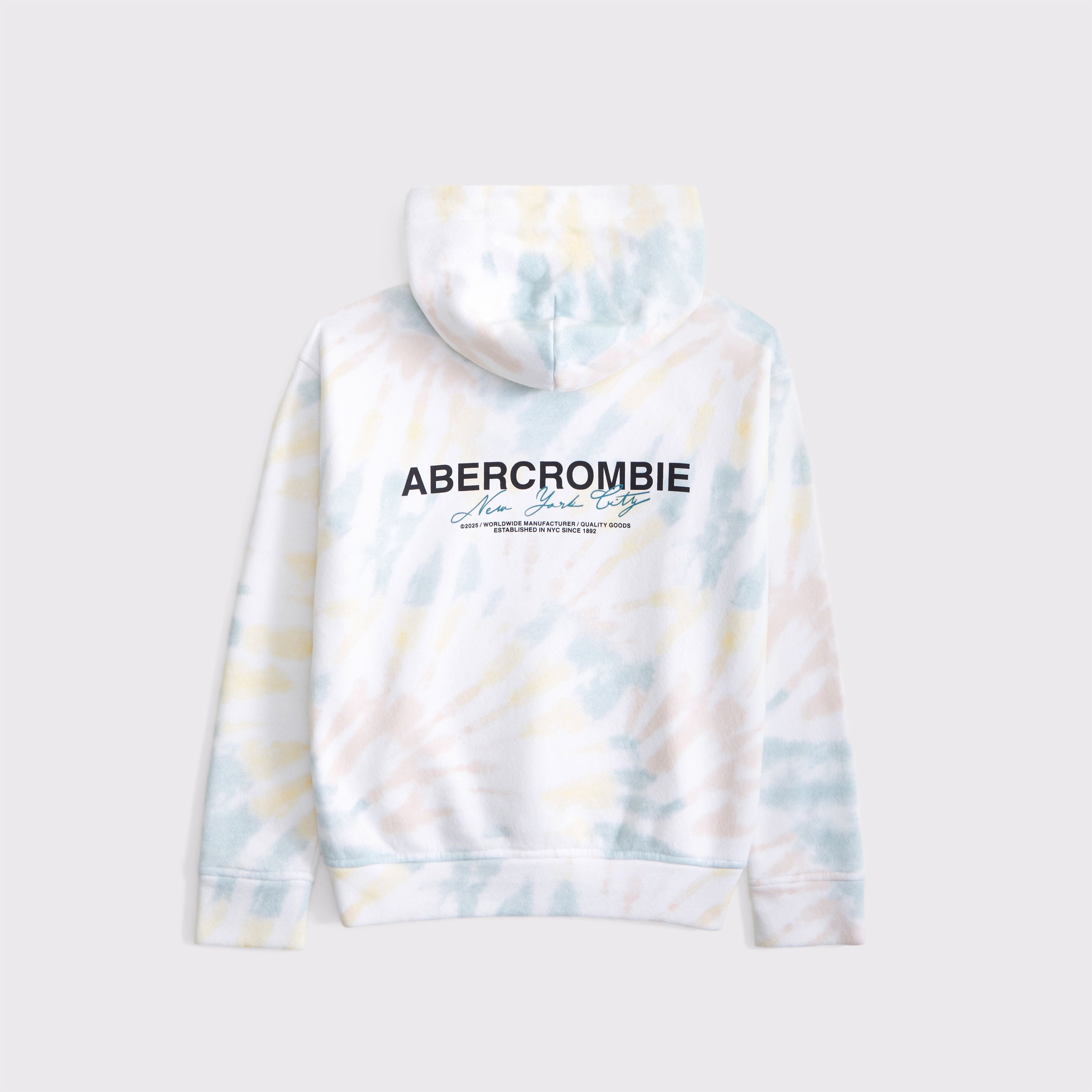 boys logo popover hoodie | boys tops | Abercrombie.com