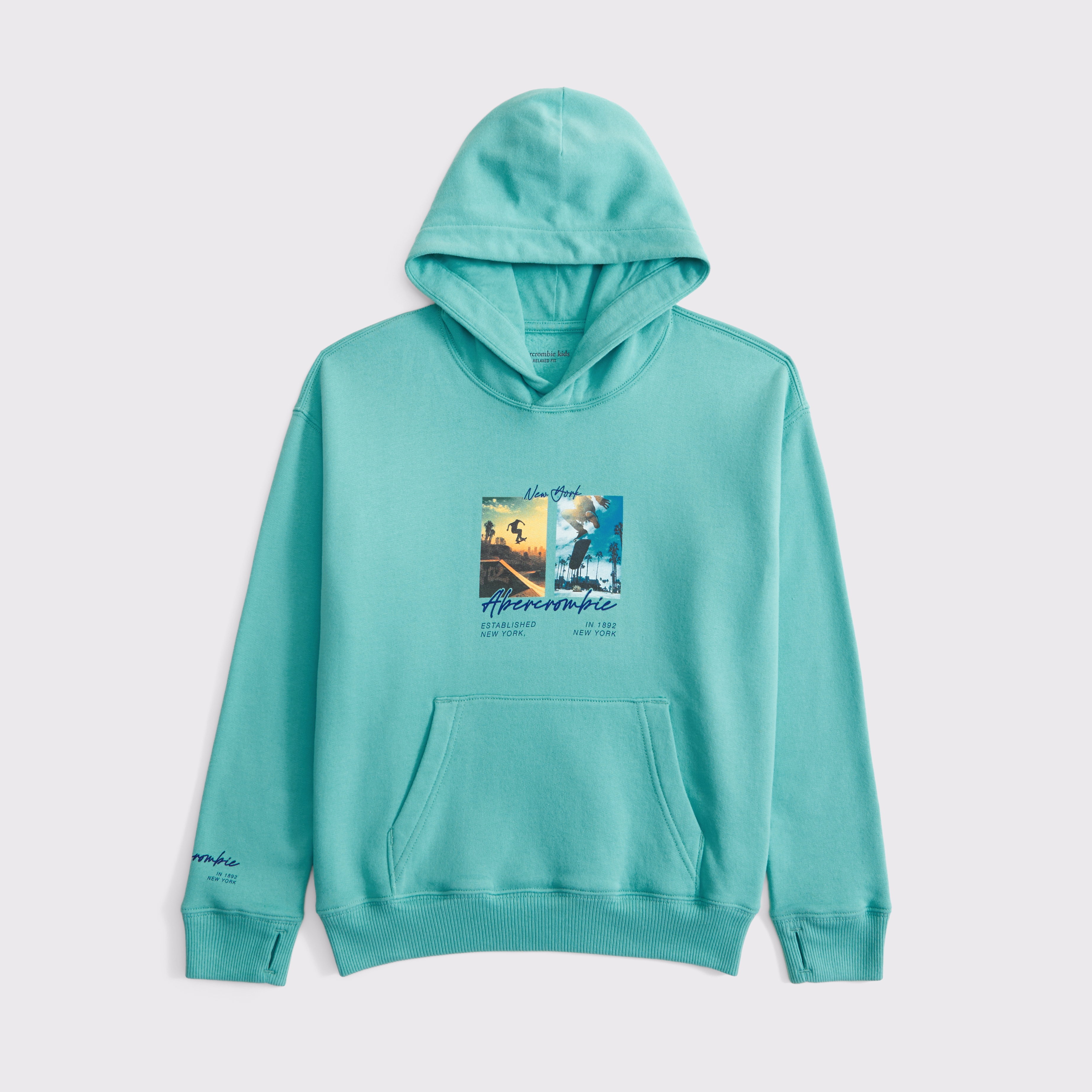 Abercrombie & Fitch Kids' Imagery Logo Popover Hoodie In Blue