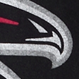 black-falcons