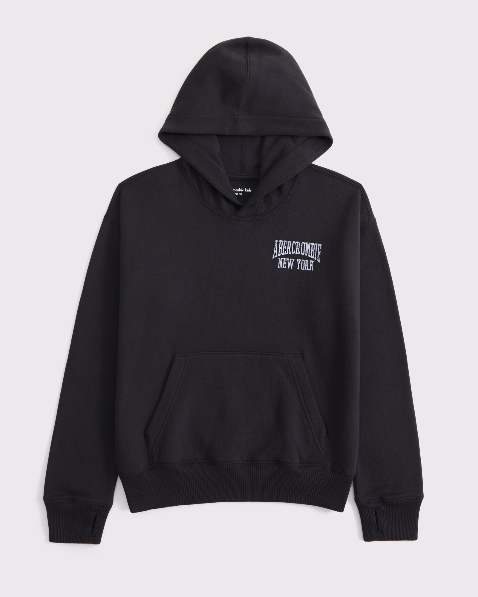 Abercrombie Kids Logo popover hoodie | Arden Fair