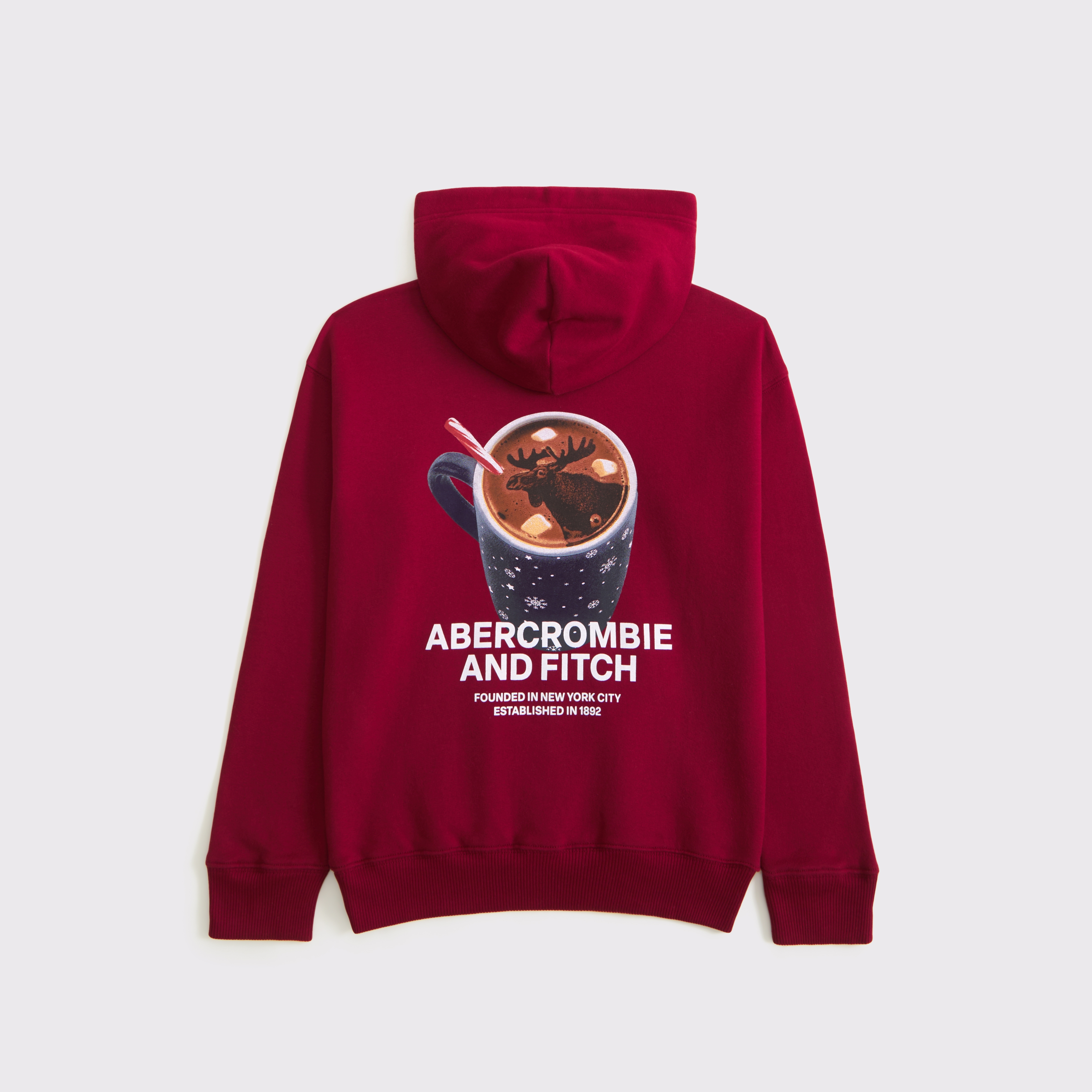 Abercrombie & Fitch Kids' Imagery Logo Popover Hoodie