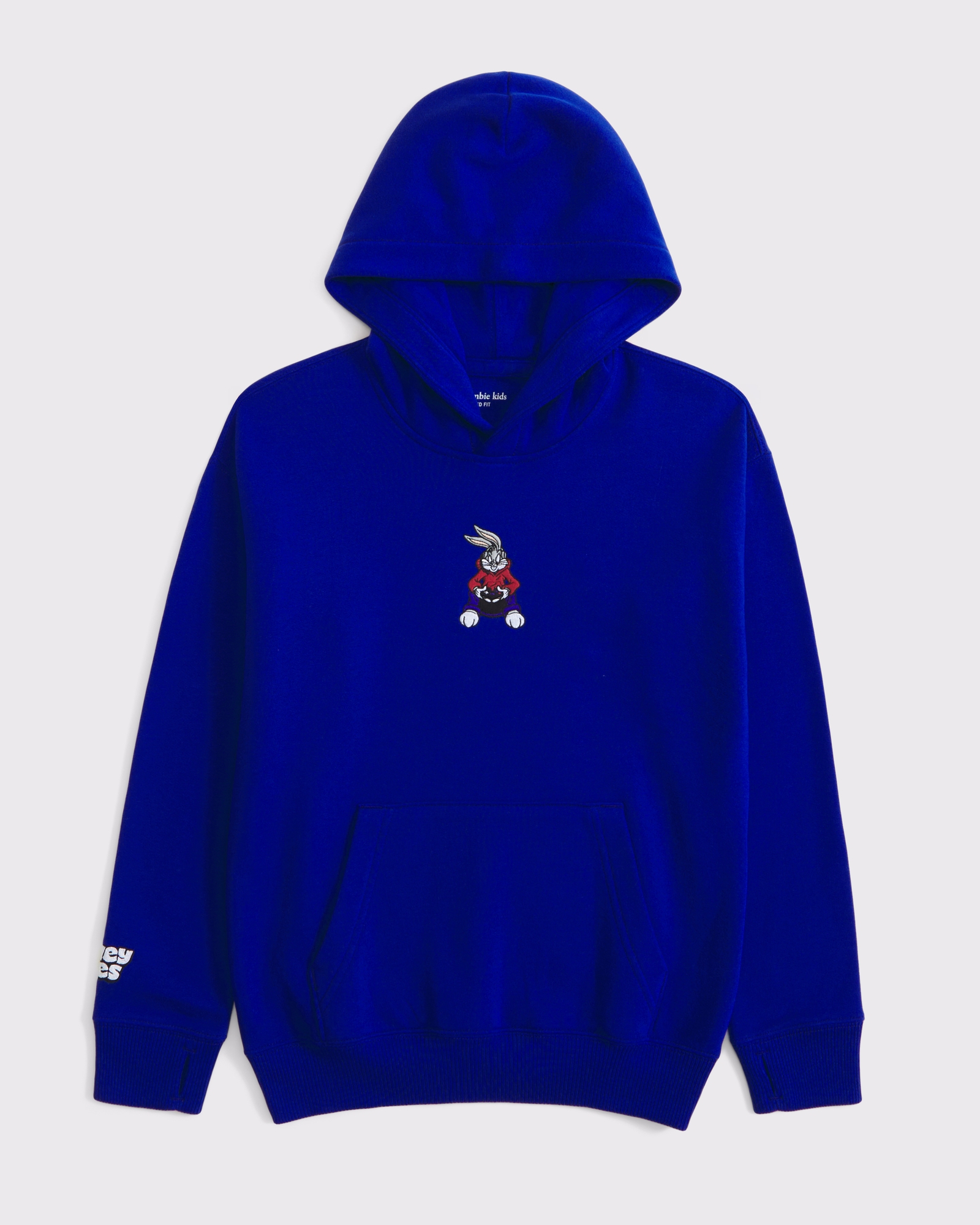 Abercrombie & Fitch Alpine Racing Graphic Popover Hoodie | Arden Fair