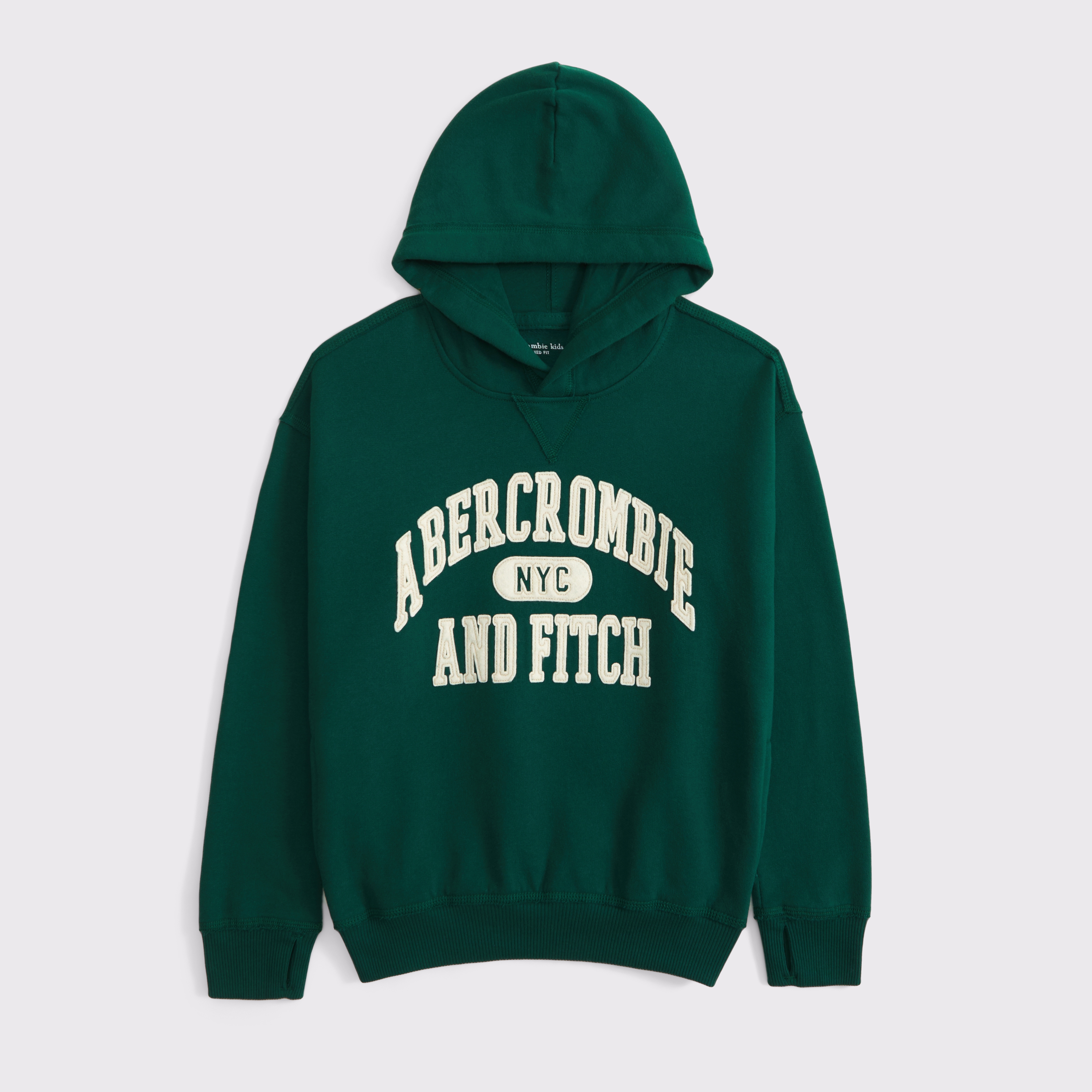 Abercrombie & Fitch Kids' Logo Popover Hoodie In Green