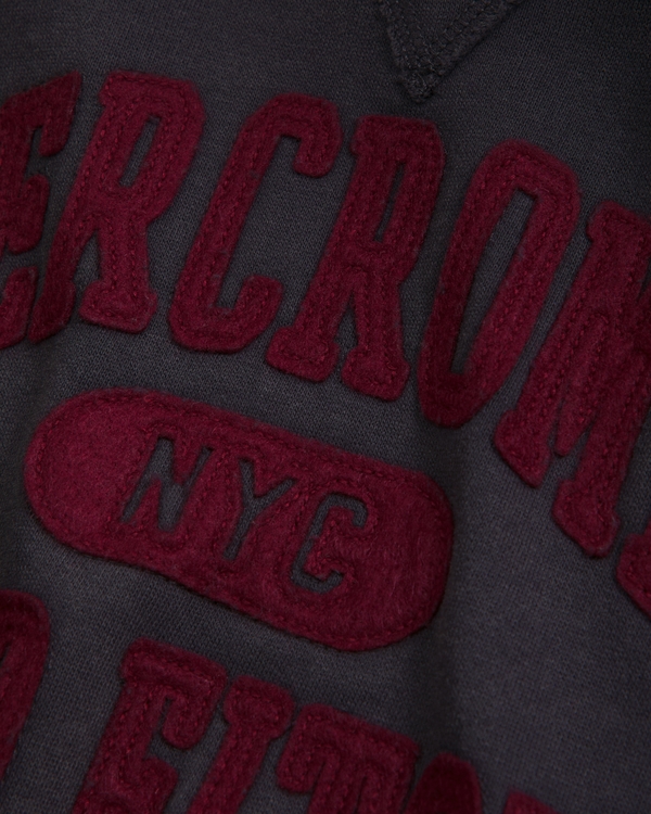 logo popover hoodie, Dark Gray view 2