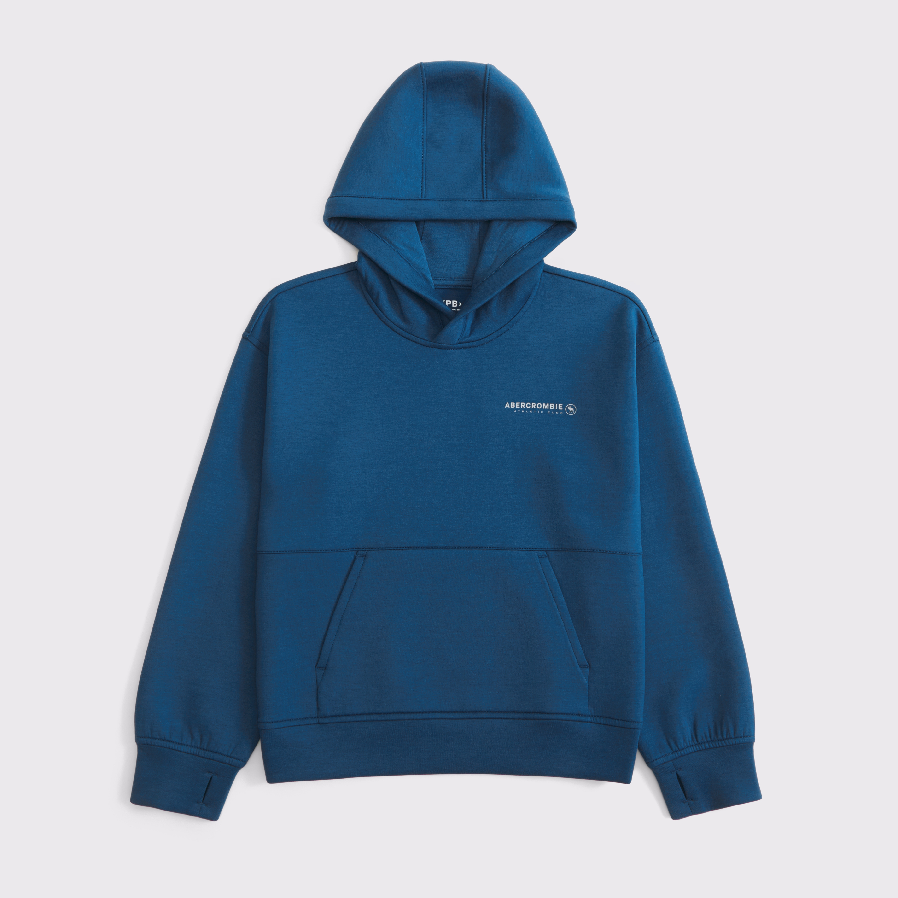 Abercrombie & Fitch Kids' Ypb Neoknit Logo Popover Hoodie In Blue