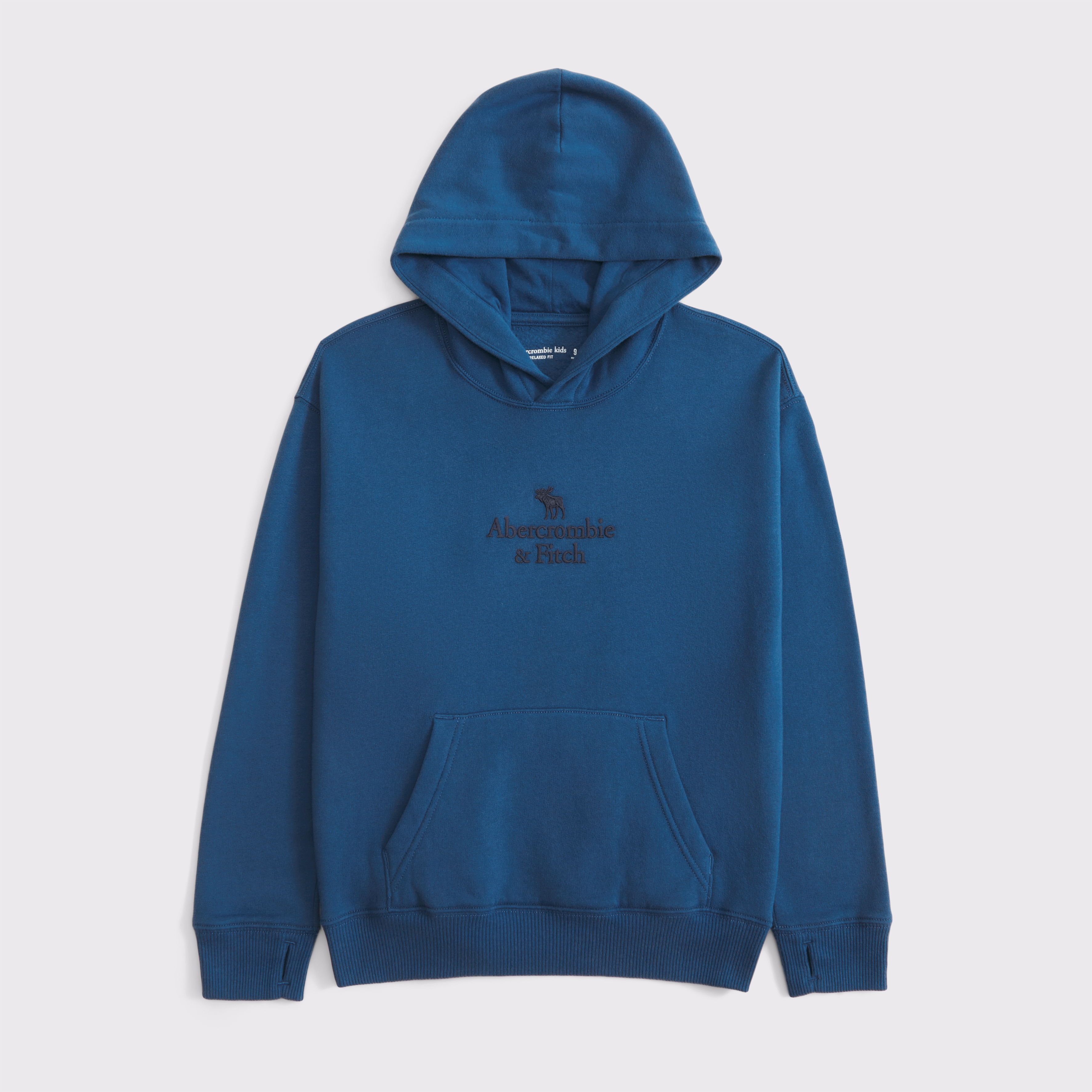 Abercrombie & Fitch Kids' Logo Popover Hoodie In Blue