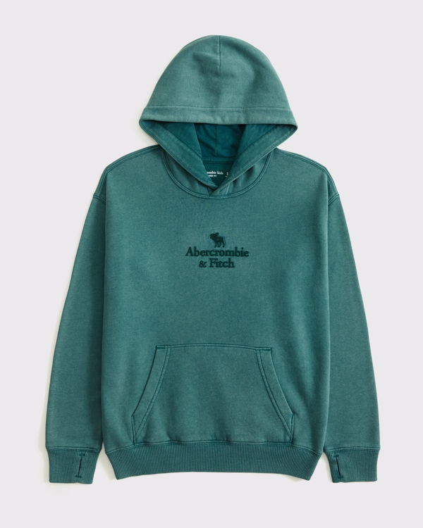 logo popover hoodie, Teal Green view 1