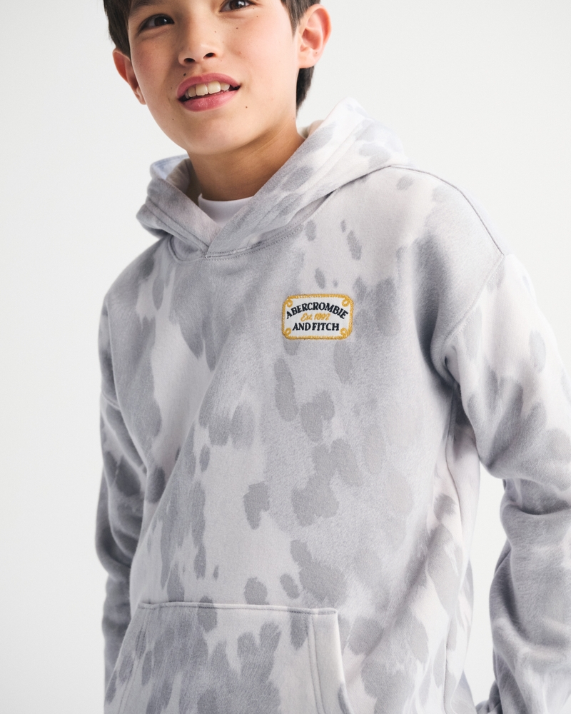 pony print logo graphic popover hoodie