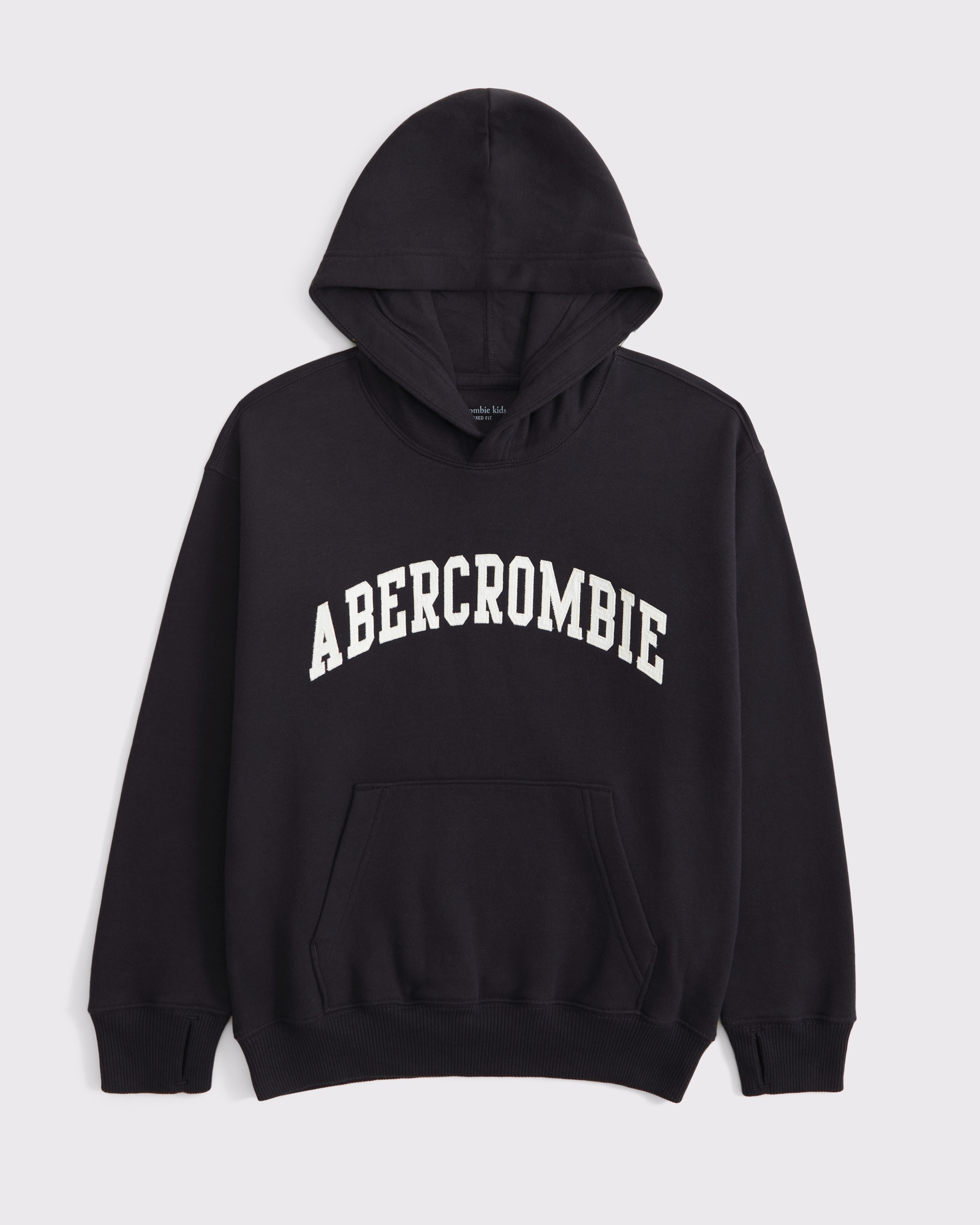 Abercrombie & Fitch Graphic logo popover hoodie | Arden Fair