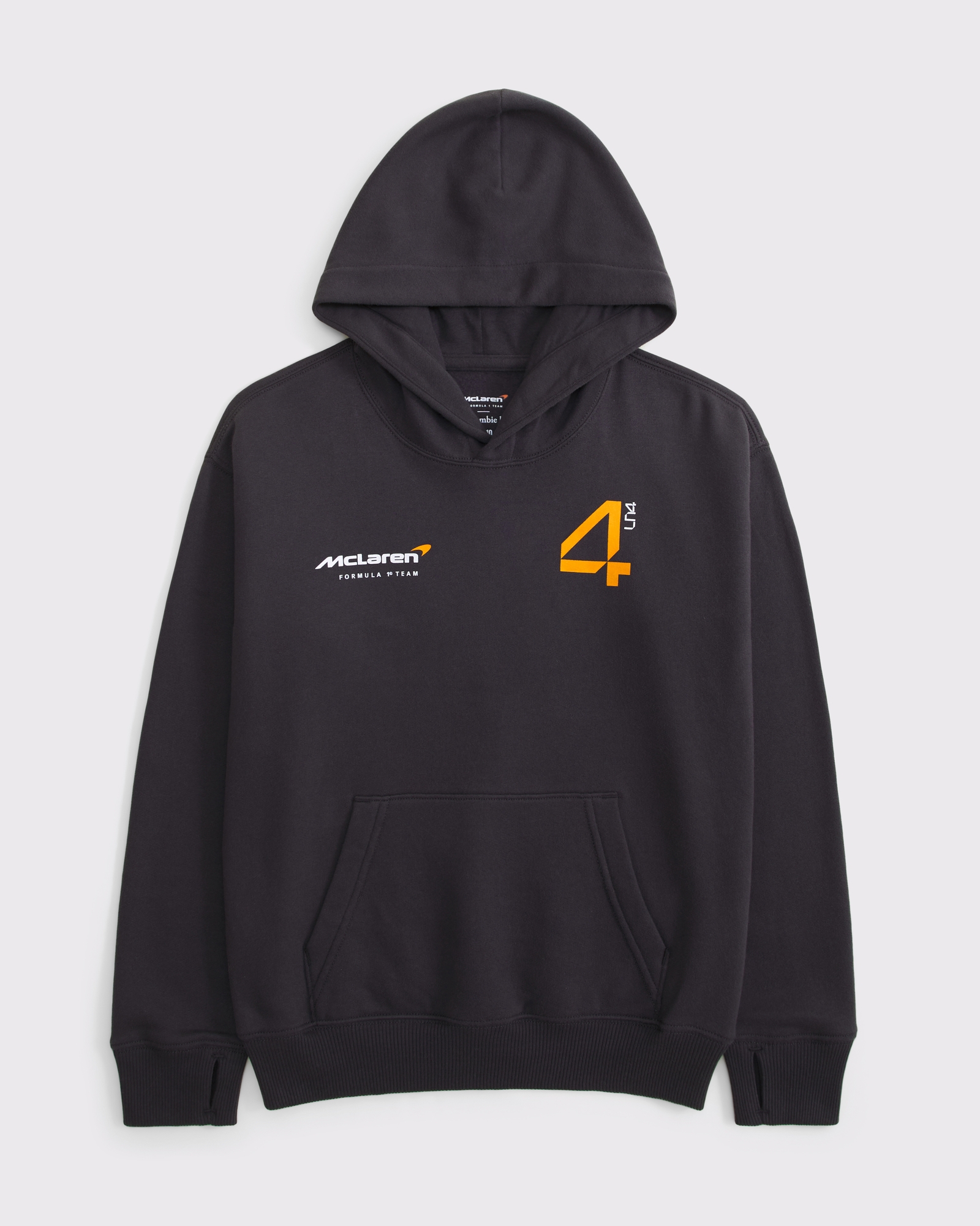 Abercrombie & Fitch Alpine Racing Graphic Popover Hoodie | Arden Fair