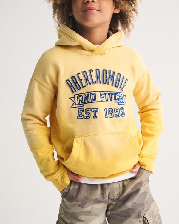 logo popover hoodie