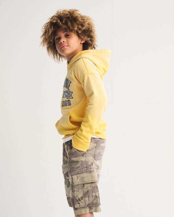 logo popover hoodie