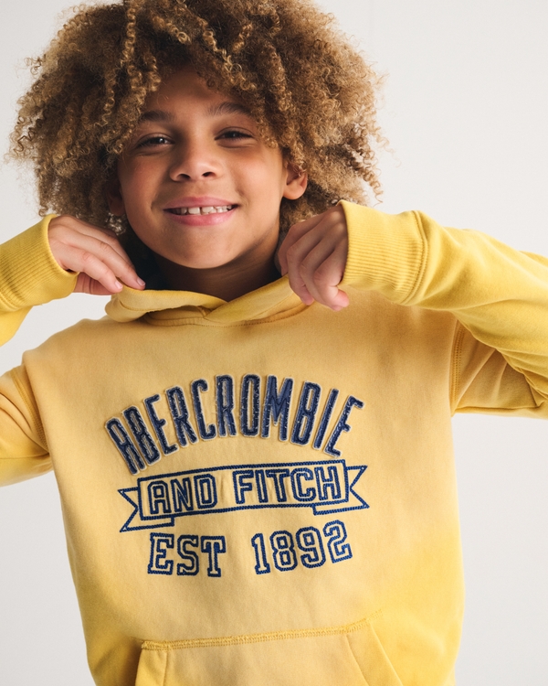 logo popover hoodie