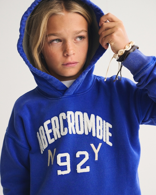logo popover hoodie