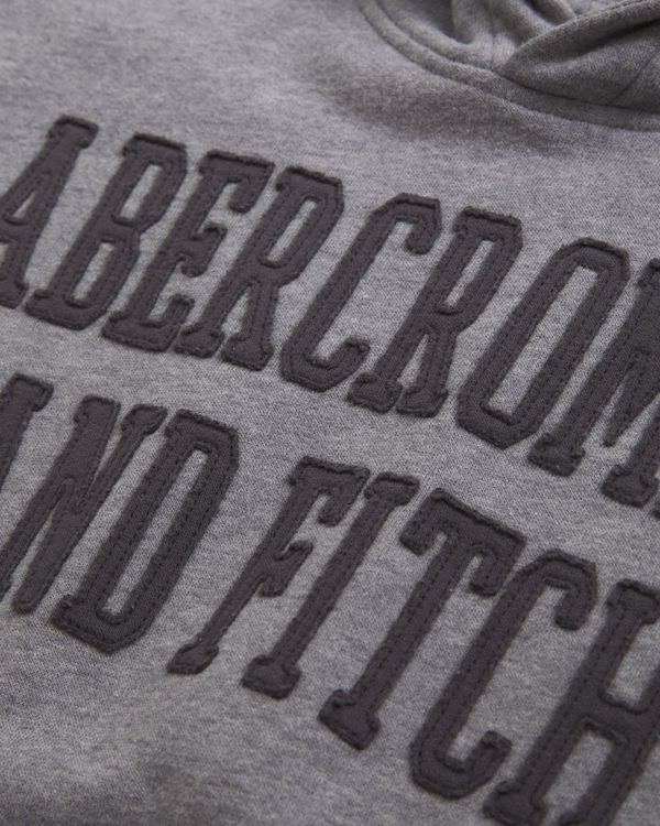 logo popover hoodie, Gray view 2