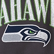 dark gray - seahawks