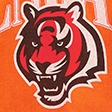 orange - bengals