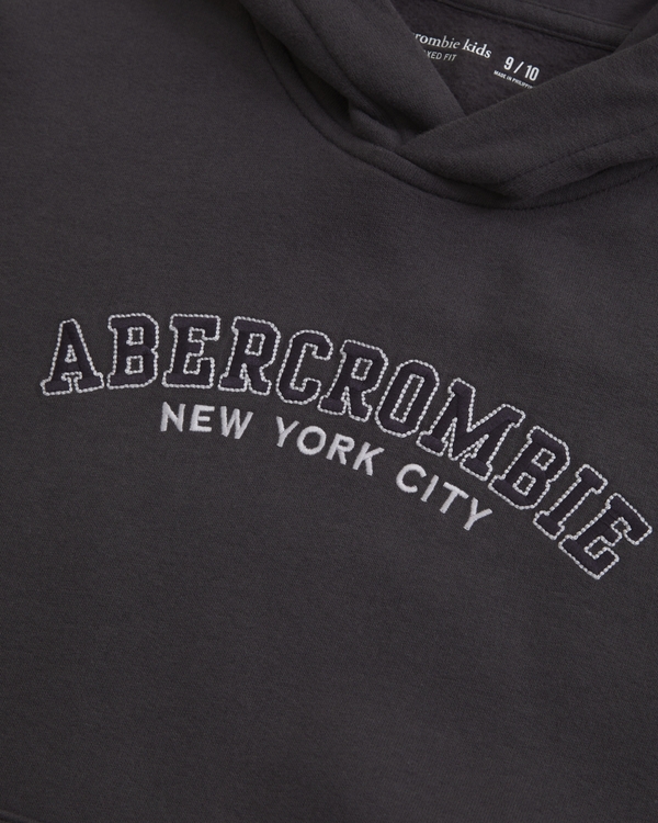 logo popover hoodie, Dark Gray view 2