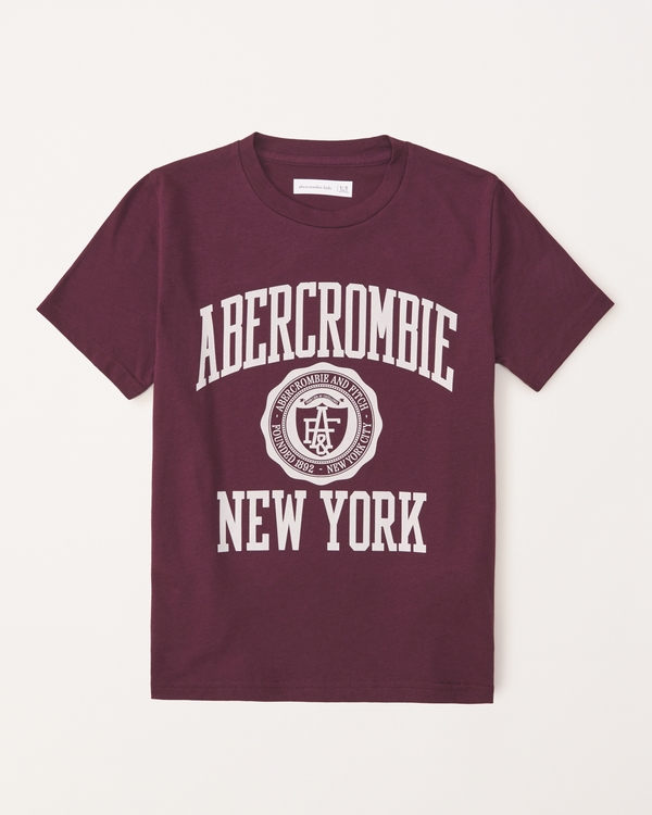boys' t-shirts & henleys | abercrombie kids