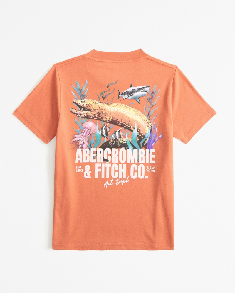 Abercrombie & Fitch - Hollister Graphic Tees and Pants :: Behance